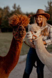 sesja plenerowa z alpakami Racibórz Rybnik Śląsk Wodzisław fotograf sesja narzeczeńska romantyczna 