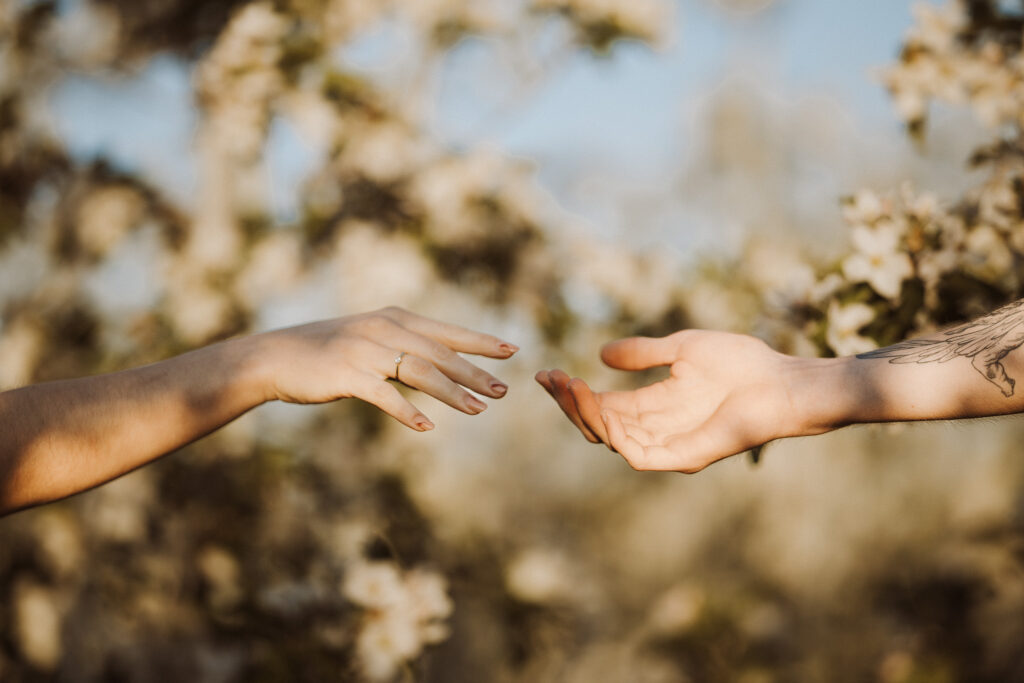 fotograf sesja narzeczeńska Opole Kędzierzyn-Koźle Głubczyce Rybnik Racibórz Katowice