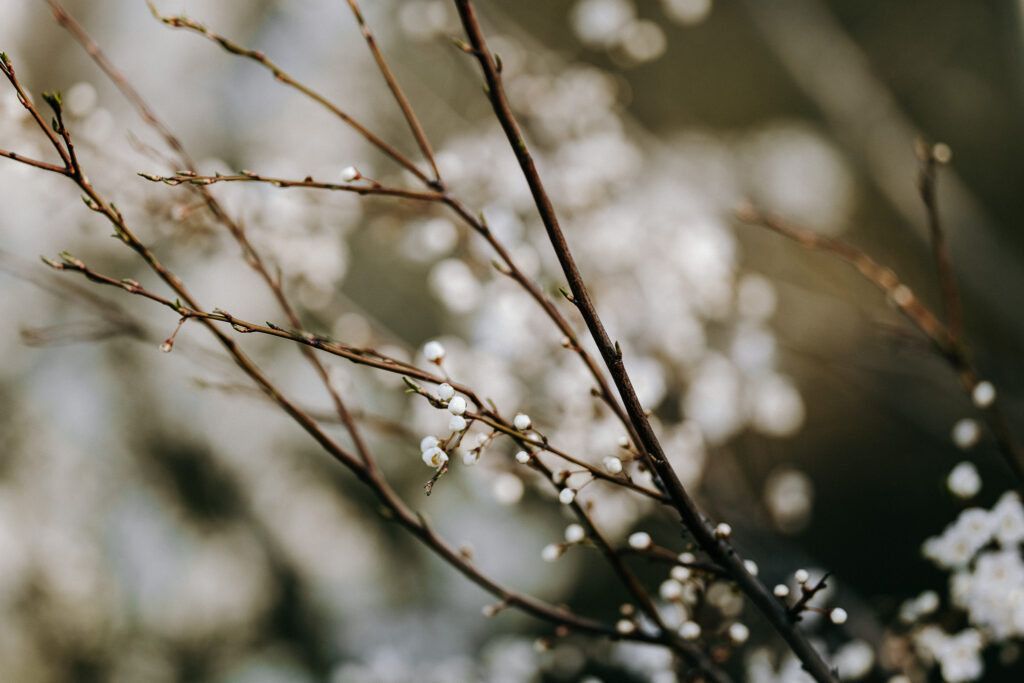 fotograf Racibórz Śląsk